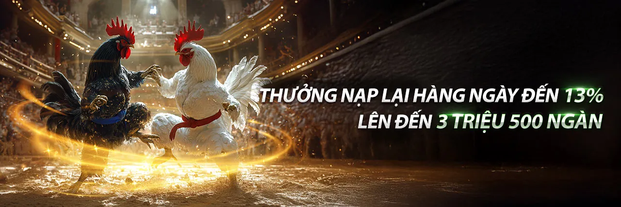Đá gà trực tiếp tại ee88 casino