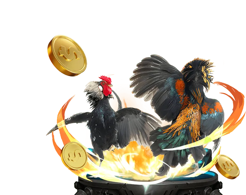 Trực tiếp đá gà ee88 casino